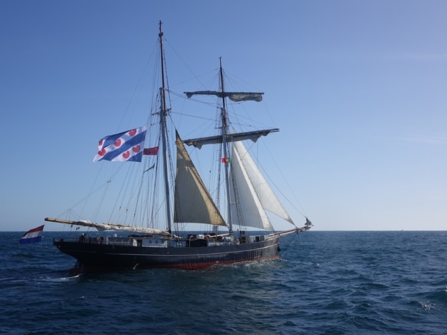 Sines Tall Ships Festival żaglowiec holenderski Wylde Swan